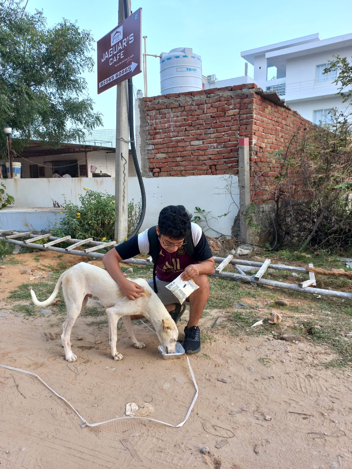 Feeding program