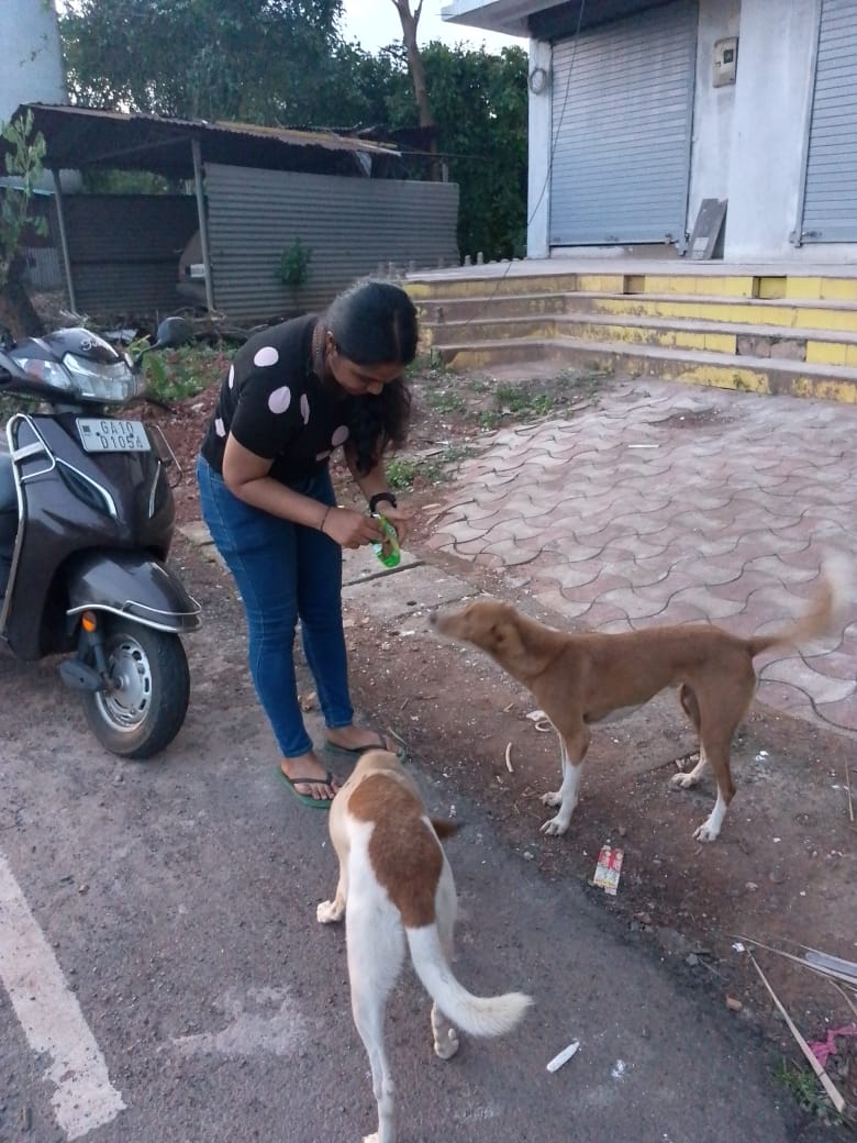 Animal rescue scene